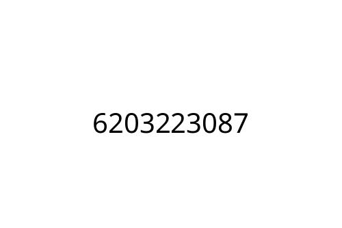 6203223087