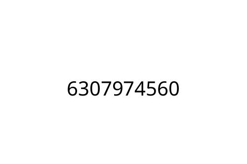6307974560