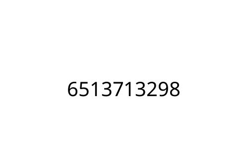 6513713298