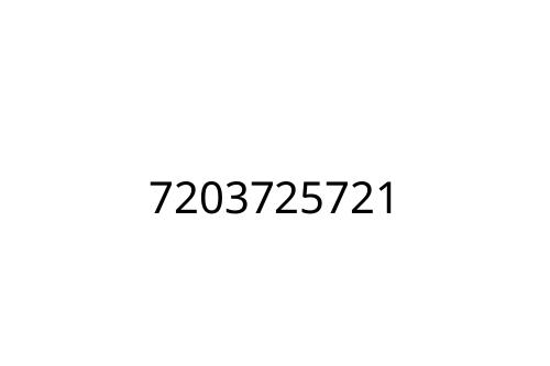 7203725721