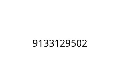 9133129502