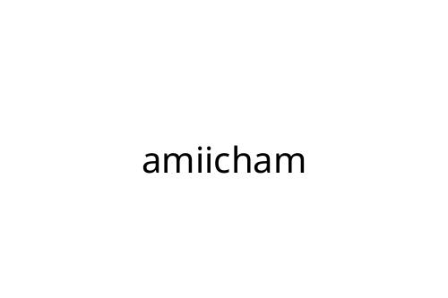amiicham