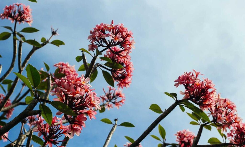 ginprokash industries ltd management