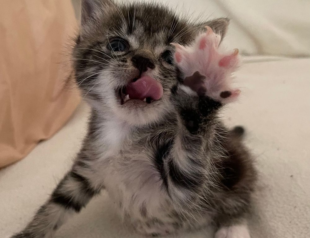 what zayepro pharmaceuticals ltd about