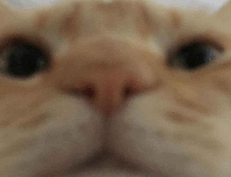 why obernaft can't play on pc