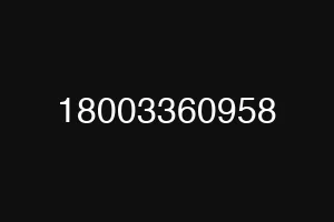 18003360958