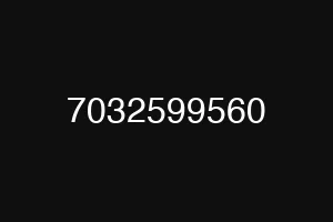 7032599560