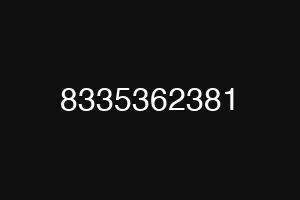 8335362381