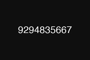 9294835667