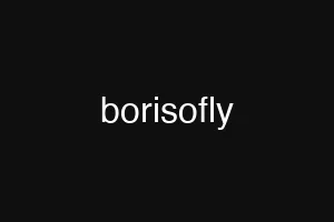 borisofly