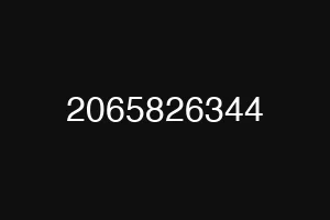 2065826344