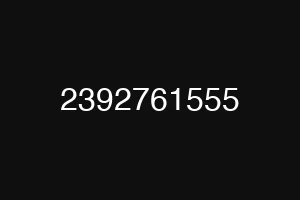 2392761555