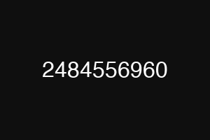 2484556960