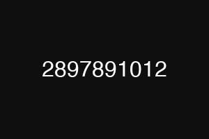 2897891012