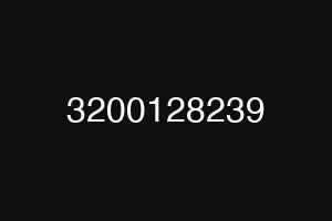 3200128239