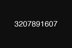3207891607