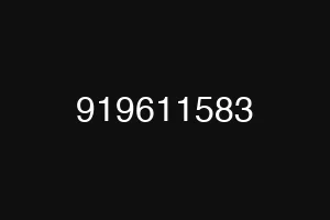 919611583
