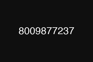 8009877237