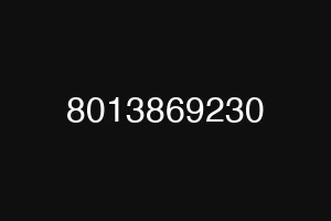 8013869230