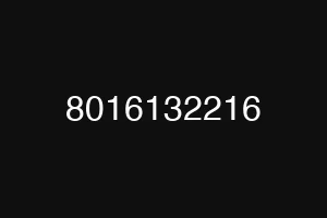 8016132216