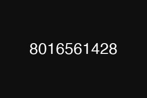 8016561428