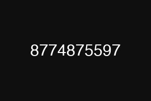 8774875597
